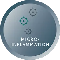 Micro Inflammation