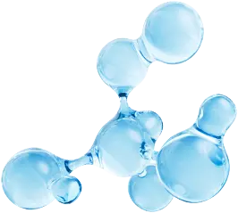 Bio-Active Nutrient Complex